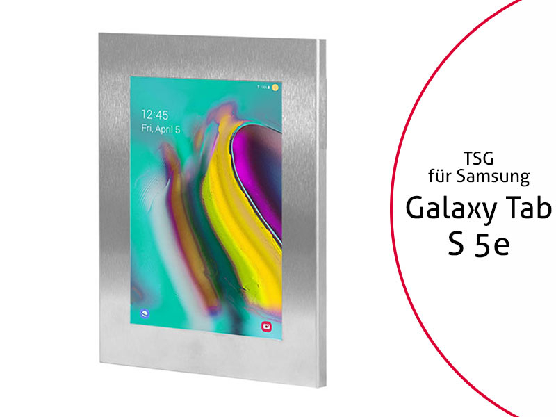 TabLines TSG070E Tablet Schutzgehäuse für Samsung Tab S5e, Edelstahl